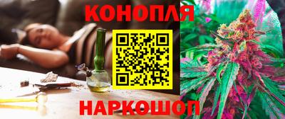 СК Канаш