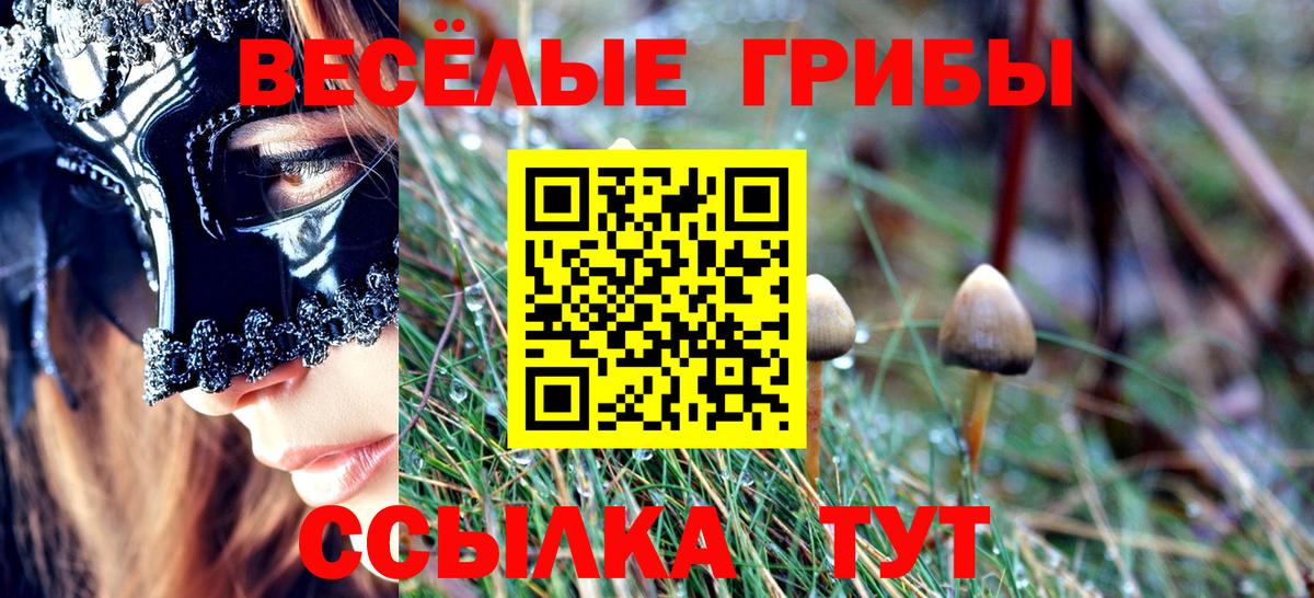 Лесной  Псилоцибиновые грибы Psilocybe  Вход с VPN  Псилоцибиновые грибы мухоморы 